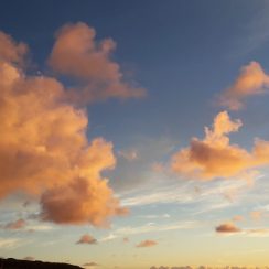 20190304_203950-scaled-244x244
